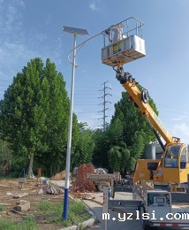 临淄区*林公司厂区旧灯改造