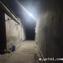 凤凰镇*老村太阳能路灯改造